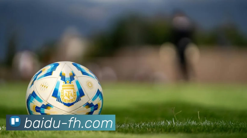 凤凰体育服务体系